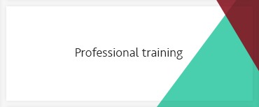 Professional training